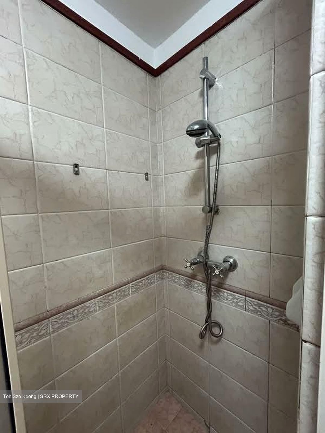 Parc Vista (D22), Condominium #592003511